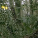 Illustration for article titled Predator Camo Comes To Kinect